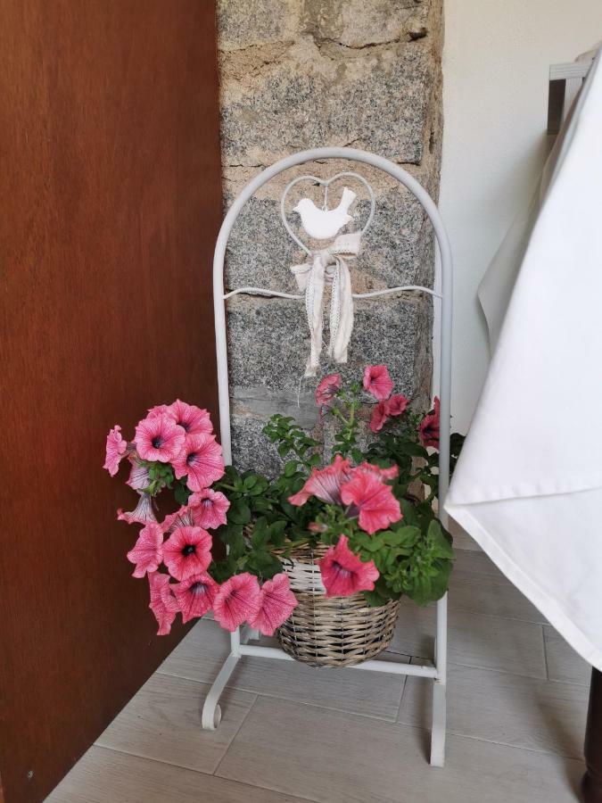 Affittacamere Alisso Olbia Dış mekan fotoğraf